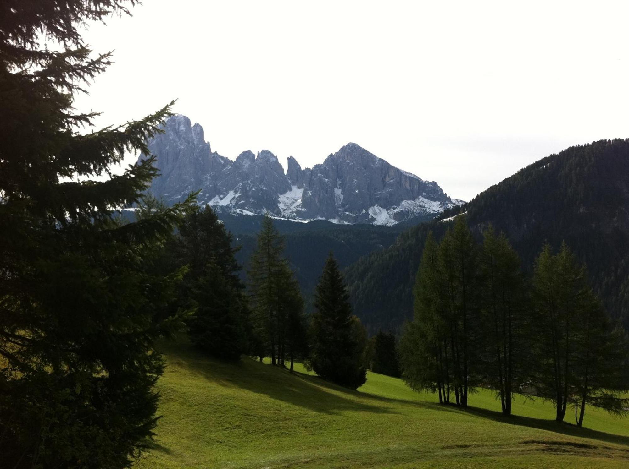 Garni La Bercia Hotel Selva di Val Gardena Exterior photo